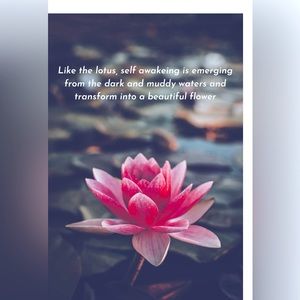 Welcome to My Closet!